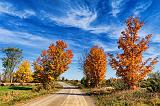 Autumn Back Road_17915